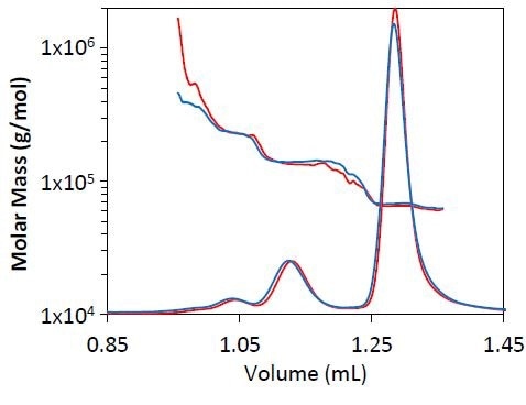 Light scattering chromatogram for BSA separation at 0.3mL/min (blue) and 0.5mL/min (red). The measured molar mass by MALS is overlaid for each chromatogram.