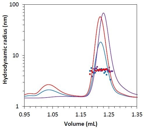 Measured hydrodynamic radius data for the mAb2 monomer under stability test 1 (blue), 2 (red), and 3 (purple) overlaid on light scattering chromatogram.