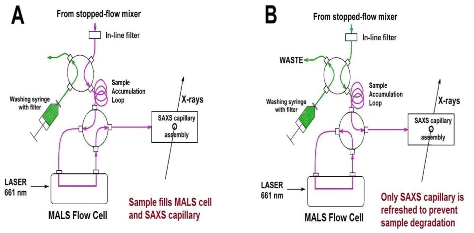 Schematic diagram of the stopped-flow MALS/SAXS set-up. Two positions of the lower valve are shown; other valve combinations are used during an experiment (see [5]). Green, buffer; magenta, reacting mixture.