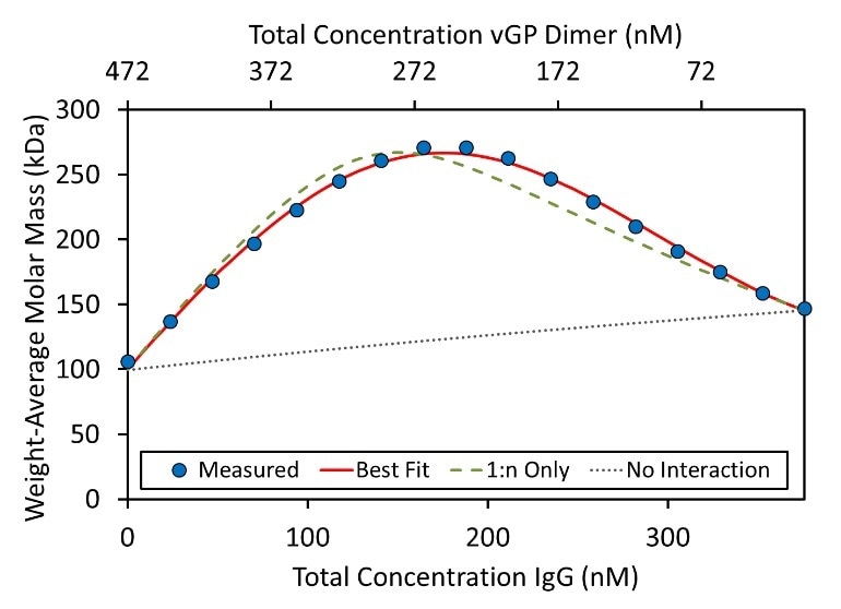 Weight-average molar mass for each composition of the hetero-association gradient. The formation of IgG:vGP complexes results in an increase in measured molar mass. The best fit (red line) requires higher order association than simply (IgG)(GP) and (IgG)(GP)2, shown by the “1:n Only” curve (green dashed line). The molar concentration of GP refers to the dimer concentration