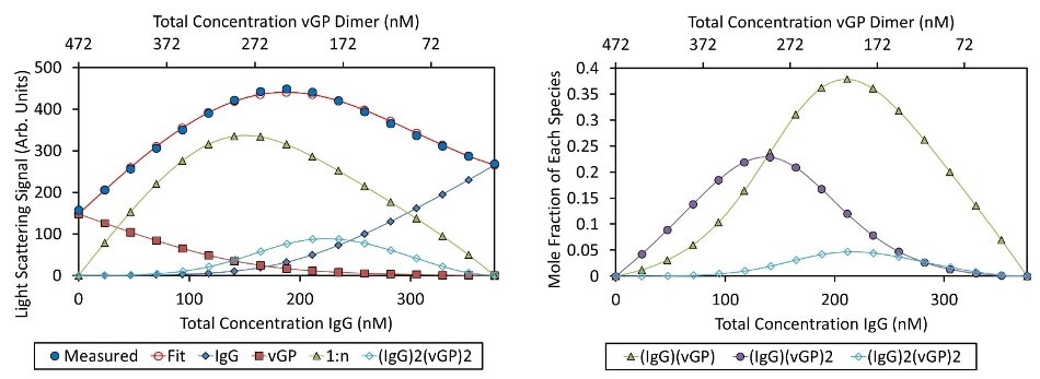 Best fit of CG-MALS data (left) and mole fraction of each species (right). Left: The CG-MALS hetero-association data was best fit to a model wherein each Fab of the IgG bound to the vGP dimer with equivalent affinity. The best fit () to the measured )?light scattering data () is made up of the sum of the contributions of the free monomer IgG, free vGP dimer, IgG bound to one or two vGP dimers (“1:n”), and a higher order complex of two IgG molecules bound to two vGP dimers. Right: The light scattering data are converted to molar concentration of each complex. The fraction of unbound IgG monomer and vGP dimer have been left off for clarity.
