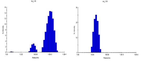 Size distributions obtained at 80°C via regularization. Left: pH 8.5; right: pH 9.5.