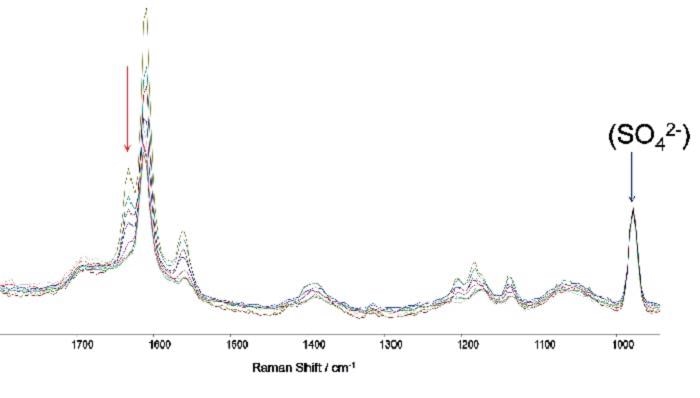 A series of captured Raman spectra illustrating how the variation in intensity of the feature at 1631 cm-1 facilitates monitoring of the reaction process through time. The standard Raman band from Na2SO4 (0.05M) is evident on the right.