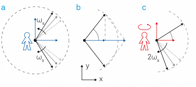 Demodulation process represented in the complex plane. (a) The input signal Vs(t) can be expressed as the sum of two counter-rotating vectors. (b) The projections onto the x-axis add up whereas the projections to the imaginary y-axis cancel each other out. (c) In the rotating frame the counter-clockwise vector is standing still, the clockwise moving vector rotates at twice the observer