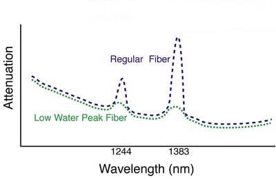 Spectrometer, Fiber Optic