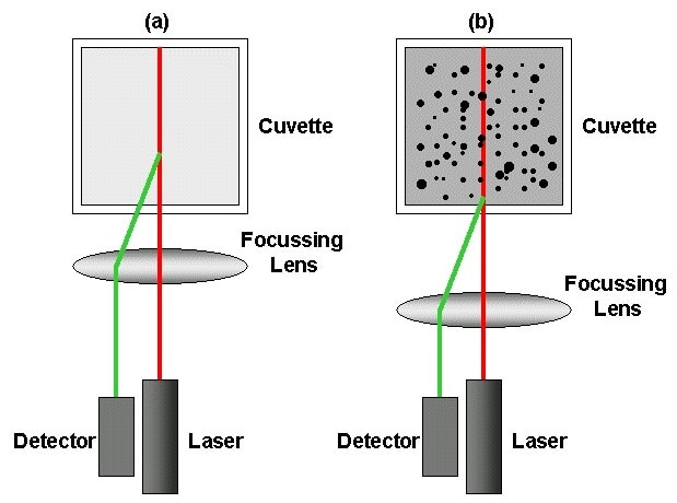 Schematic showing the key components of a DLS system – laser, detector, focusing lens and cuvette (which holds the sample) – in a NIBS configuration.