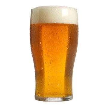 Beer is a complex mixture of macromolecules such as amino acids, proteins, polypeptides, and polysaccharides