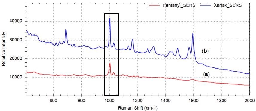 SERS spectra of (a) fentanyl and (b) Xanax