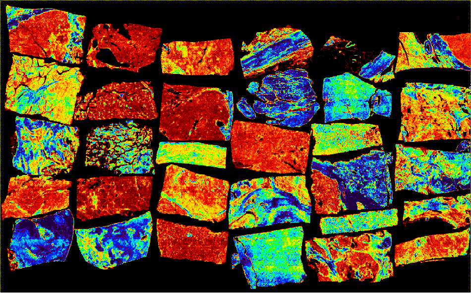 A tissue micro-array imaged in the mid-infrared region using the Spero-QT