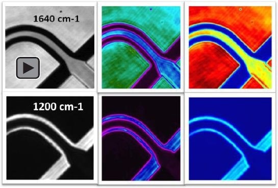 Infrared images of H2O and D2O flowing within a microfluidic channel.
