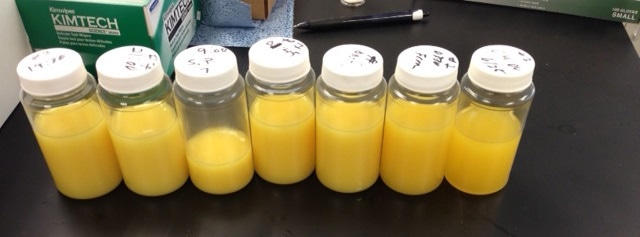 Samples shown after being homogenized for 30 seconds on high