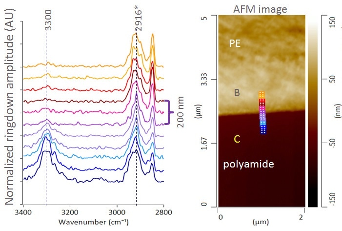AFM height image and AFM-IR spectra across PE/PA layer interface
