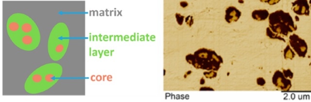Schematic diagram and AFM phase image showing different regions within high impact polypropylene sample.