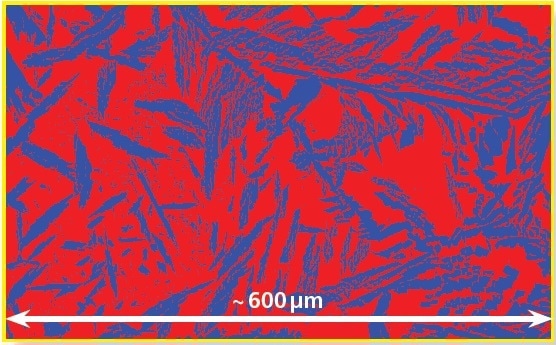 Phase map of the area marked in (a) in higher detail. Red – ferrite, blue – austenite.