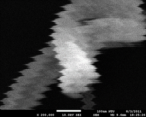 SEM Image Affected by AC Fields, Without SC System