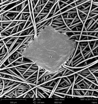 SEM image of a cotton fabric coated with 10 nm of gold using a 15 kV beam.