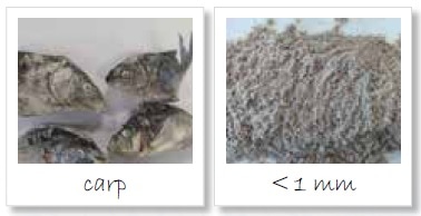Homogenization of fish; left: original sample; right: sample ground to < 1 mm