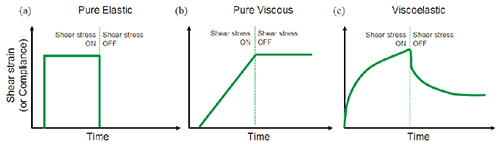Illustration showing the strain response to an applied stress for (a) purely elastic material (b) purely viscous material (c) viscoelastic material