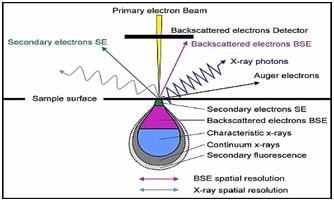 Scanning Electron Microscopy Scheme