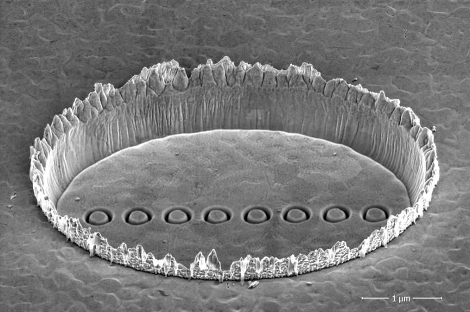 Ring of plasmonics