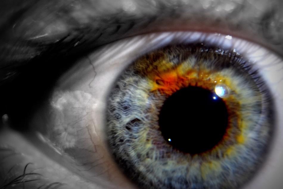 How Does the Human Eye Perceive Light? Photopic and Scotopic Vision