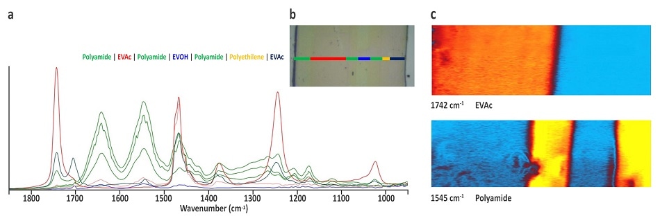 Multilayer packaging film, thin section sample showing (a) Fingerprint section spectra measured using reflection mode spectroscopy – 10 spectra, 100 scan/spectrum total. 140 sec/spectrum. (b) High resolution, single wavelength chemical images with a resolution of 0.5µm showing Polyamide layer at 1545cm-1 and EVAc layer at 1742cm-1. Scan size is 60µm x 20 µm. Chemical Imaging time is about 1min40sec