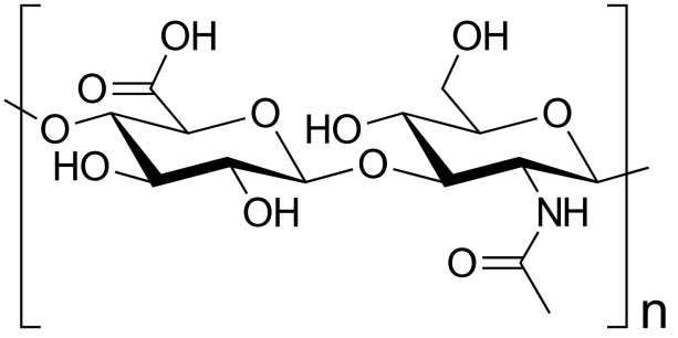 Hyaluronic acid is a natural polymer important in biology and commercial applications.