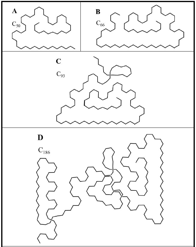 Representative simple chain polymers (PE)