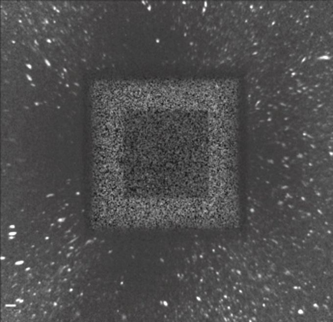Diffraction patterns seen in an image frame collected as part of the LabDCT scan