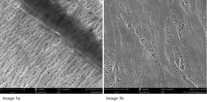SEM images of battery insulating membranes. Highly non-conductive samples require special treatment for imaging. Operating at a different vacuum level can reduce charging effects. Coating the sample with a thin gold layer will dramatically reduce the issue.