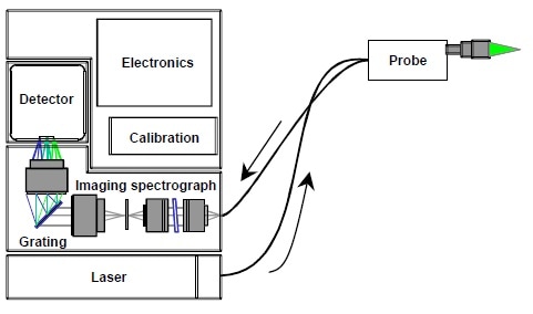 Schematic diagram of a RamanRxn1TM Raman spectrometer from Kaiser Optical Systems, Inc.
