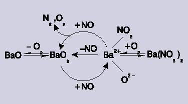 The catalytic reaction scheme.