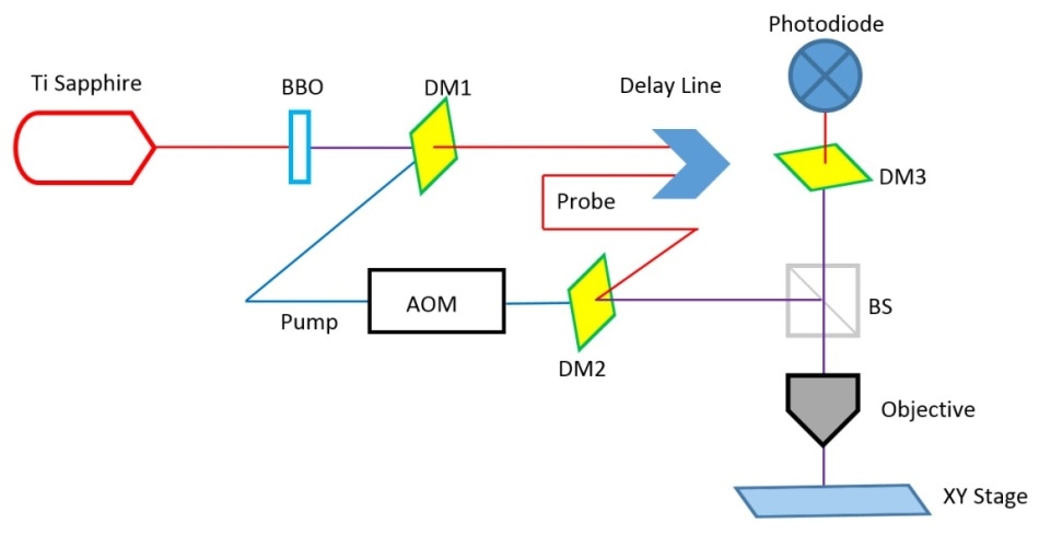Optical setup comprising dichroic mirrors (DM), an acousto-optic modulator (AOM), a beam splitter (BS), and a photodiode.