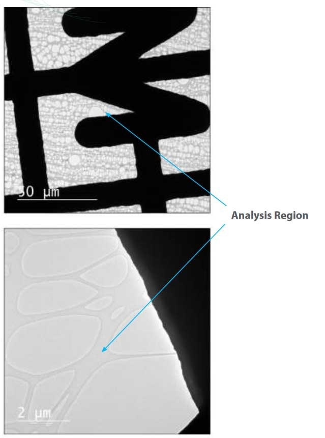 Analysis Region 50 µm & 2 µm.