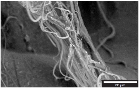 Silver nanoparticles distribution on the surface of the polyamide nanofibers