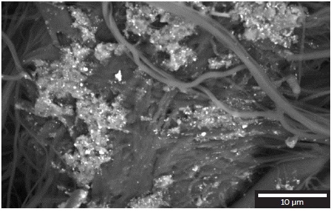 Silver nanoparticles agglomeration between the polyamide nanofibers