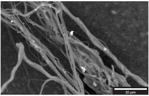 Silver nanoparticles distribution on the surface of the polyamide nanofibers