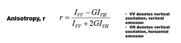 Anisotropy equation.