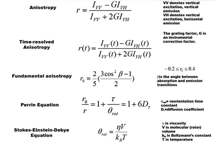 Some useful equations for applying anisotropy, r and time-resolved anisotropy, r(t). (Lakowicz, 2006) (Valeur, 2002)