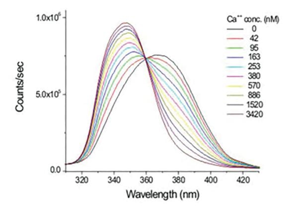 Fluorescence excitation spectra of Fura-2 in solutions containing 0 to 3.4 µM free Ca2+. (HORIBA PTI QuantaMaster Series, 2017)