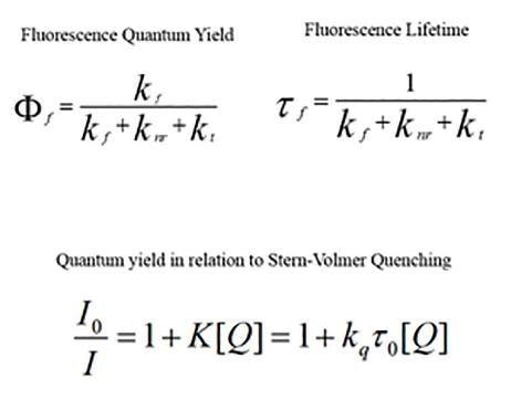 Fluorescence Quantum yield equation calculated by the rate constants of fluorescence (kf), non-radiative dissipation (knr) and energy transfer (kt). Fluorescence lifetime calculated by one over the sum of the rate constants. And the quantum yield in relation to the Stern-Volmer quenching constant (K), the biomolecular quenching constant (kq) and the lifetime ( t0). (Lakowicz, 2006)