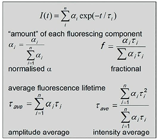Equations for obtaining fluorescence lifetimes, component time constants, amplitudes, and averages