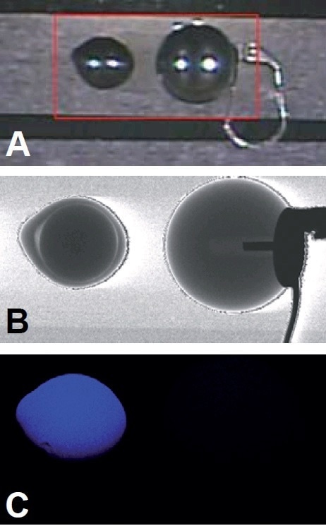 A) Optical image of pearls, cultured (left) and imitation (right), with mapping region shown in red, (B) transmission x-ray image, and (C) calcium XRF image.