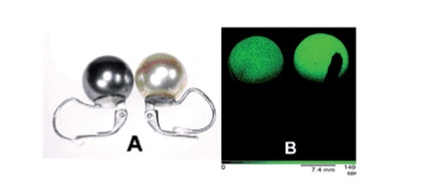 A) optical image of two imitation pearls, (B) bismuth XRF image