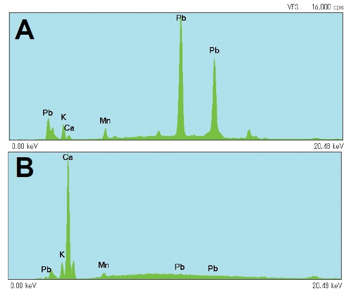 Spectra acquired from (A) high and (B) low lead concentration regions in the leaf shown in Figure 3.