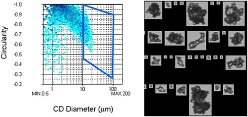 (a) CED Vs Circularity scatter gram (left); (b) images of particles from the selected region in the scatter gram (right).