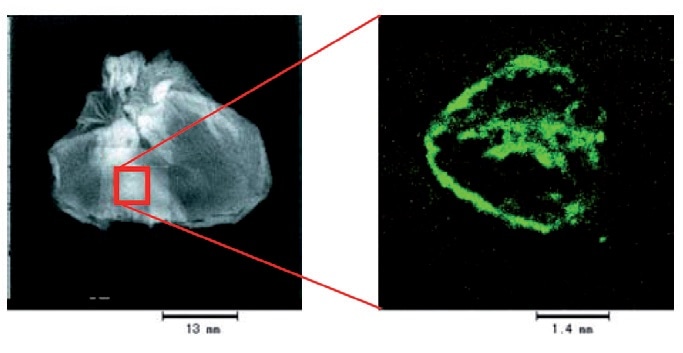 (Left) Transmitted x-ray image and (right) zinc XRF intensity image of ulcerated rat stomach following medication. The XRF image is taken from the highlighted region.