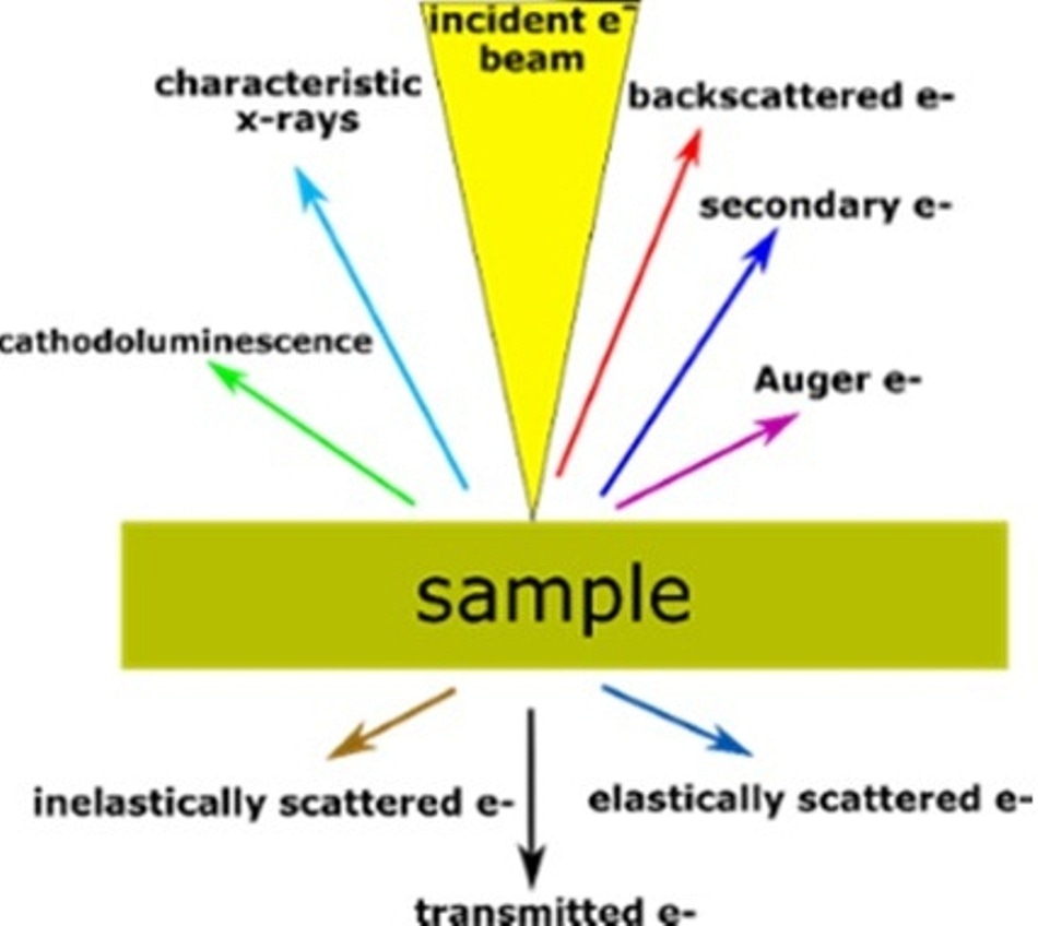 电子与物质相互作用的图示，显示出不同的产物。