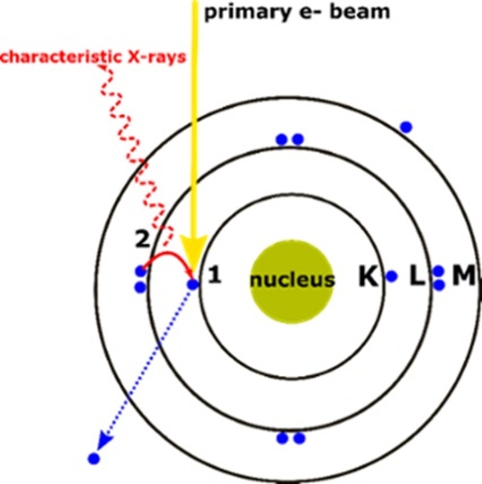 X-ray generation process: 1) The energy transferred to the atomic electron knocks it off leaving behind a hole, 2) Its position is filled by another electron from a higher energy shell and the characteristic X-ray is released.