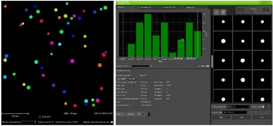 Screenshot of the ParticleMetric software. On the left, the detected particles in the SEM are shown. On the right, the results of the process are displayed; the detected particles, their properties and generated graphs with the particles’ properties.
